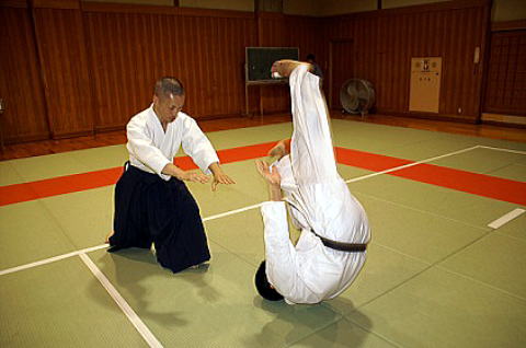 養神館合気道隼Webサイト